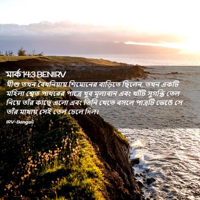 Picture 02 - মার্ক 14:3 BENIRV - যীশু তখন - Bible Verse Picture