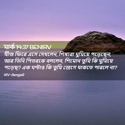Picture 02 - মার্ক 14:37 BENIRV - যীশু ফিরে এসে - Bible Verse Picture