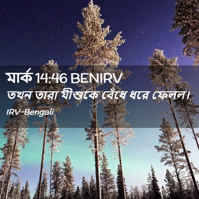 Picture 02 - মার্ক 14:46 BENIRV - তখন তারা যীশুকে - Bible Verse Picture