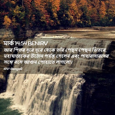 Picture 02 - মার্ক 14:54 BENIRV - আর পিতর দূরে দূরে - Bible Verse Picture