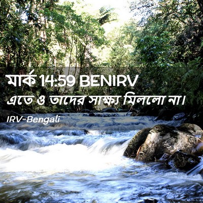 Picture 02 - মার্ক 14:59 BENIRV - এতে ও তাদের - Bible Verse Picture