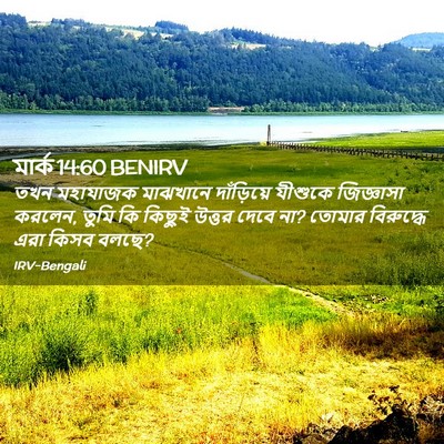 Picture 02 - মার্ক 14:60 BENIRV - তখন মহাযাজক - Bible Verse Picture