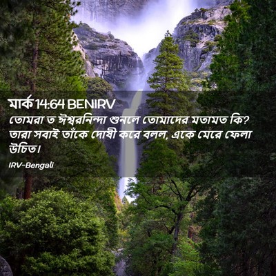 Picture 02 - মার্ক 14:64 BENIRV - তোমরা ত - Bible Verse Picture