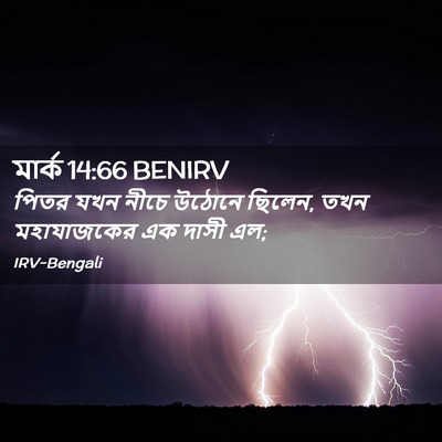 Picture 02 - মার্ক 14:66 BENIRV - পিতর যখন নীচে - Bible Verse Picture