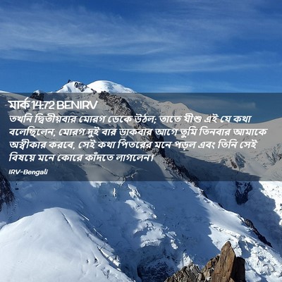 Picture 02 - মার্ক 14:72 BENIRV - তখনি দ্বিতীয়বার - Bible Verse Picture