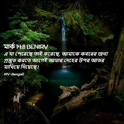 Picture 02 - মার্ক 14:8 BENIRV - এ যা পেরেছে তাই - Bible Verse Picture