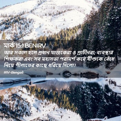 Picture 02 - মার্ক 15:1 BENIRV - আর সকাল হলে প্রধান - Bible Verse Picture