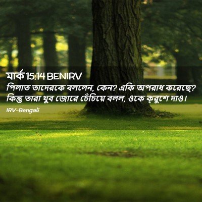 Picture 02 - মার্ক 15:14 BENIRV - পিলাত তাদেরকে - Bible Verse Picture
