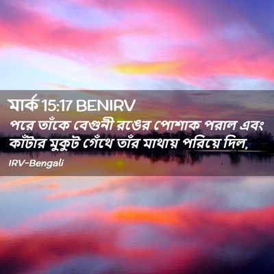 Picture 02 - মার্ক 15:17 BENIRV - পরে তাঁকে বেগুনী - Bible Verse Picture