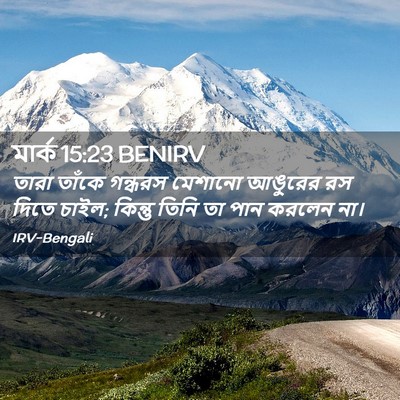 Picture 02 - মার্ক 15:23 BENIRV - তারা তাঁকে গন্ধরস - Bible Verse Picture