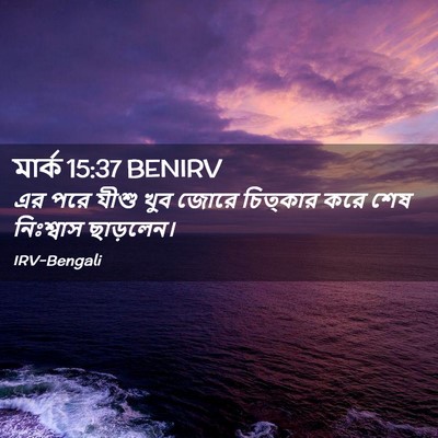 Picture 02 - মার্ক 15:37 BENIRV - এর পরে যীশু খুব - Bible Verse Picture