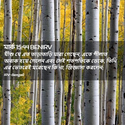 Picture 02 - মার্ক 15:44 BENIRV - যীশু যে এত - Bible Verse Picture