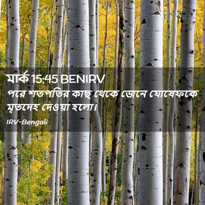 Picture 02 - মার্ক 15:45 BENIRV - পরে শতপতির কাছ - Bible Verse Picture