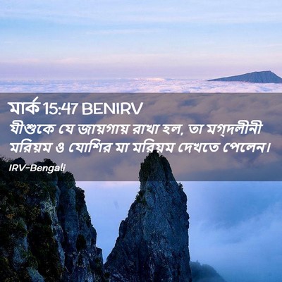 Picture 02 - মার্ক 15:47 BENIRV - যীশুকে যে - Bible Verse Picture