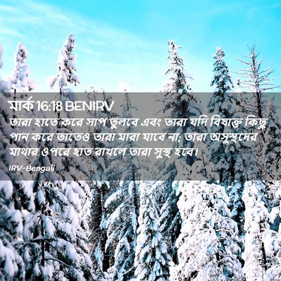 Picture 02 - মার্ক 16:18 BENIRV - তারা হাতে করে সাপ - Bible Verse Picture