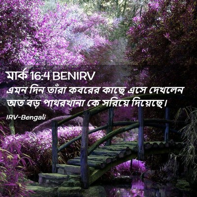 Picture 02 - মার্ক 16:4 BENIRV - এমন দিন তাঁরা - Bible Verse Picture