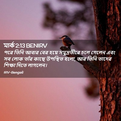 Picture 02 - মার্ক 2:13 BENIRV - পরে তিনি আবার বের - Bible Verse Picture