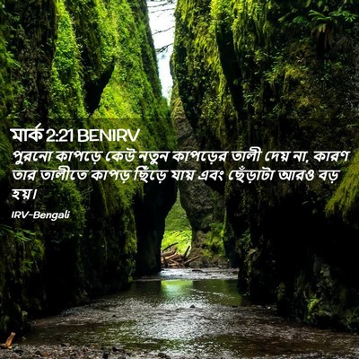Picture 02 - মার্ক 2:21 BENIRV - পুরনো কাপড়ে কেউ - Bible Verse Picture