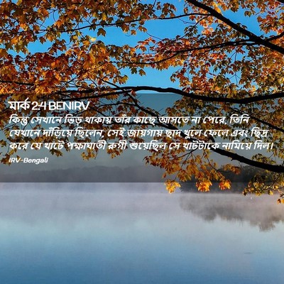 Picture 02 - মার্ক 2:4 BENIRV - কিন্তু সেখানে - Bible Verse Picture
