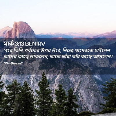 Picture 02 - মার্ক 3:13 BENIRV - পরে তিনি পর্বতের - Bible Verse Picture