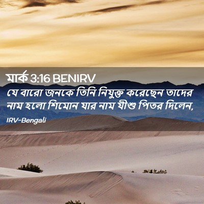 Picture 02 - মার্ক 3:16 BENIRV - যে বারো জনকে তিনি - Bible Verse Picture