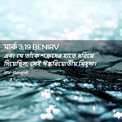 Picture 02 - মার্ক 3:19 BENIRV - এবং যে তাঁকে - Bible Verse Picture
