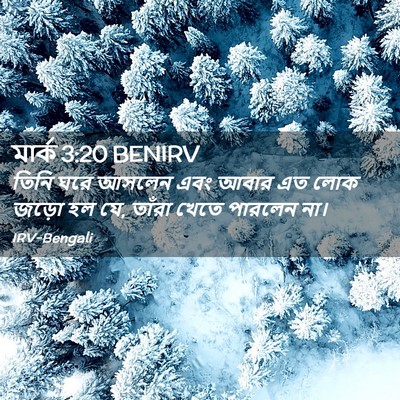Picture 02 - মার্ক 3:20 BENIRV - তিনি ঘরে আসলেন এবং - Bible Verse Picture