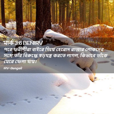 Picture 02 - মার্ক 3:6 BENIRV - পরে ফরীশীরা বাইরে - Bible Verse Picture