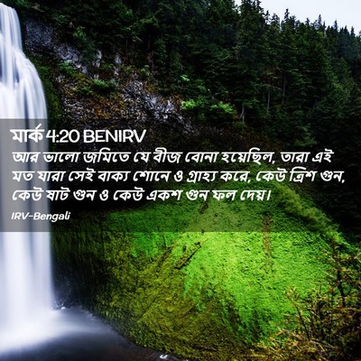 Picture 02 - মার্ক 4:20 BENIRV - আর ভালো জমিতে যে - Bible Verse Picture