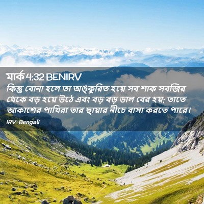Picture 02 - মার্ক 4:32 BENIRV - কিন্তু বোনা হলে তা - Bible Verse Picture