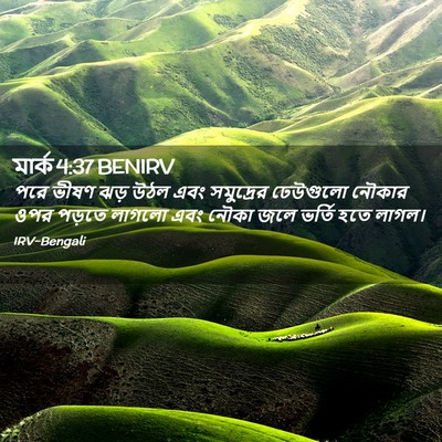 Picture 02 - মার্ক 4:37 BENIRV - পরে ভীষণ ঝড় উঠল - Bible Verse Picture