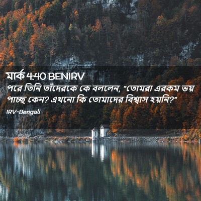 Picture 02 - মার্ক 4:40 BENIRV - পরে তিনি তাঁদেরকে - Bible Verse Picture