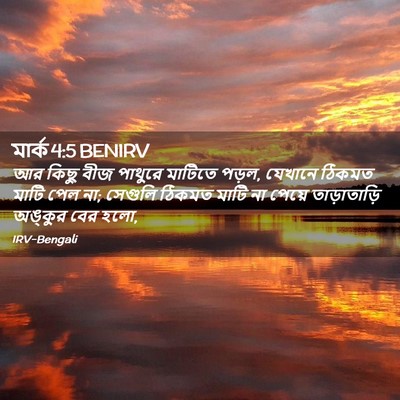 Picture 02 - মার্ক 4:5 BENIRV - আর কিছু বীজ পাথুরে - Bible Verse Picture