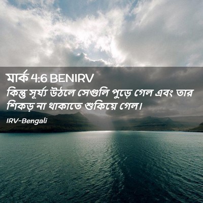 Picture 02 - মার্ক 4:6 BENIRV - কিন্তু সূর্য্য - Bible Verse Picture