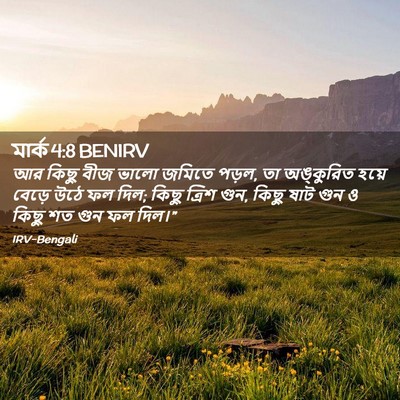 Picture 02 - মার্ক 4:8 BENIRV - আর কিছু বীজ ভালো - Bible Verse Picture