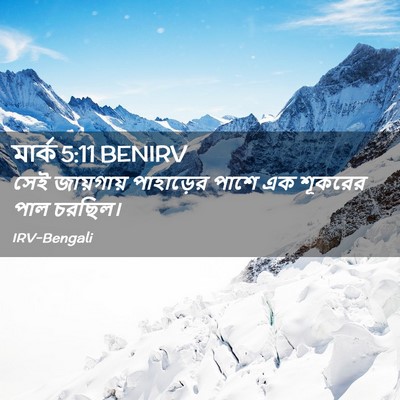 Picture 02 - মার্ক 5:11 BENIRV - সেই জায়গায় - Bible Verse Picture