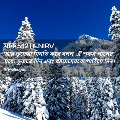 Picture 02 - মার্ক 5:12 BENIRV - আর ভূতেরা মিনতি - Bible Verse Picture