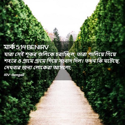 Picture 02 - মার্ক 5:14 BENIRV - যারা সেই শূকর - Bible Verse Picture