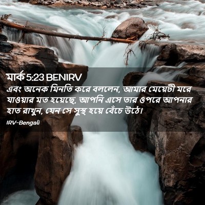 Picture 02 - মার্ক 5:23 BENIRV - এবং অনেক মিনতি করে - Bible Verse Picture