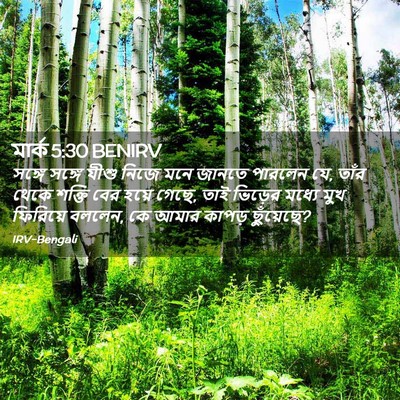 Picture 02 - মার্ক 5:30 BENIRV - সঙ্গে সঙ্গে যীশু - Bible Verse Picture