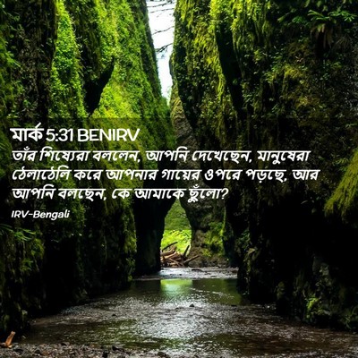 Picture 02 - মার্ক 5:31 BENIRV - তাঁর শিষ্যেরা - Bible Verse Picture