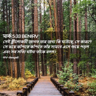 Picture 02 - মার্ক 5:33 BENIRV - সেই স্ত্রীলোকটী - Bible Verse Picture