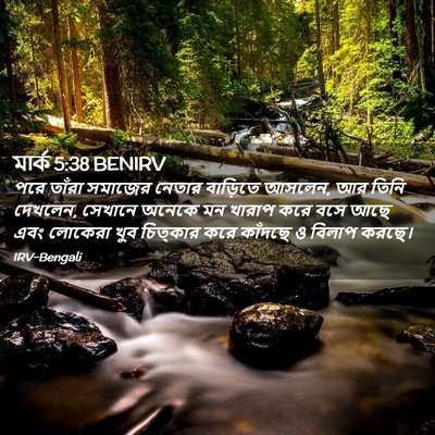 Picture 02 - মার্ক 5:38 BENIRV - পরে তাঁরা সমাজের - Bible Verse Picture