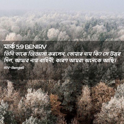 Picture 02 - মার্ক 5:9 BENIRV - তিনি তাকে - Bible Verse Picture