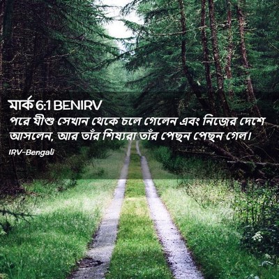 Picture 02 - মার্ক 6:1 BENIRV - পরে যীশু সেখান - Bible Verse Picture