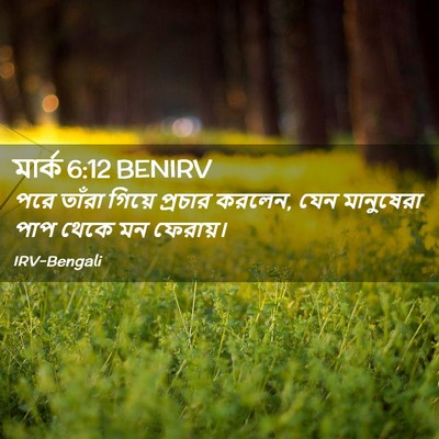 Picture 02 - মার্ক 6:12 BENIRV - পরে তাঁরা গিয়ে - Bible Verse Picture