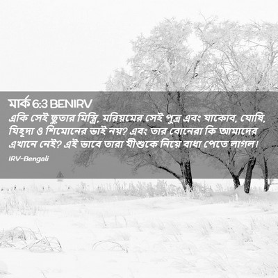 Picture 02 - মার্ক 6:3 BENIRV - একি সেই ছুতার - Bible Verse Picture