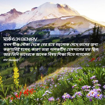 Picture 02 - মার্ক 6:34 BENIRV - তখন যীশু নৌকা থেকে - Bible Verse Picture