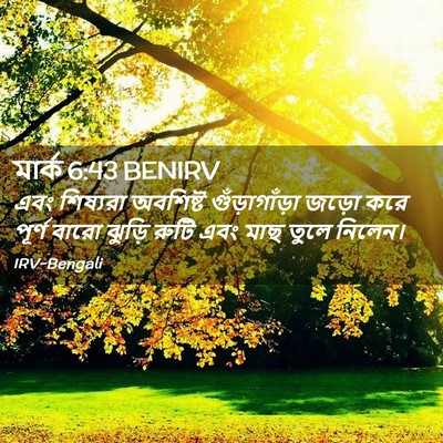 Picture 02 - মার্ক 6:43 BENIRV - এবং শিষ্যরা - Bible Verse Picture