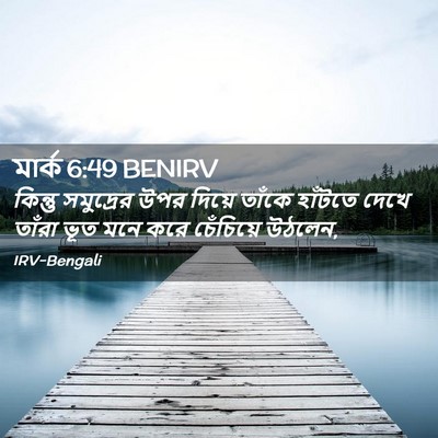 Picture 02 - মার্ক 6:49 BENIRV - কিন্তু সমুদ্রের - Bible Verse Picture